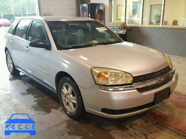 2005 CHEVROLET MALIBU MAX 1G1ZT62865F196480 зображення 0