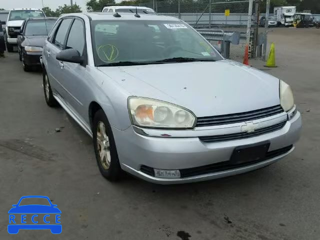 2005 CHEVROLET MALIBU MAX 1G1ZU64855F146986 image 0