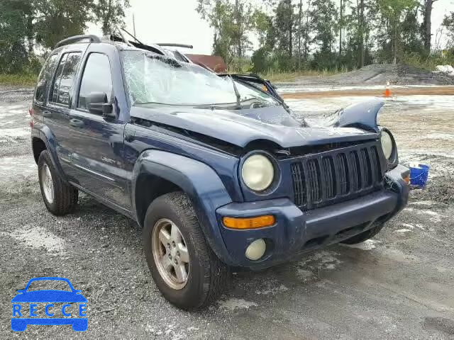 2002 JEEP LIBERTY LI 1J8GK58K52W204880 image 0