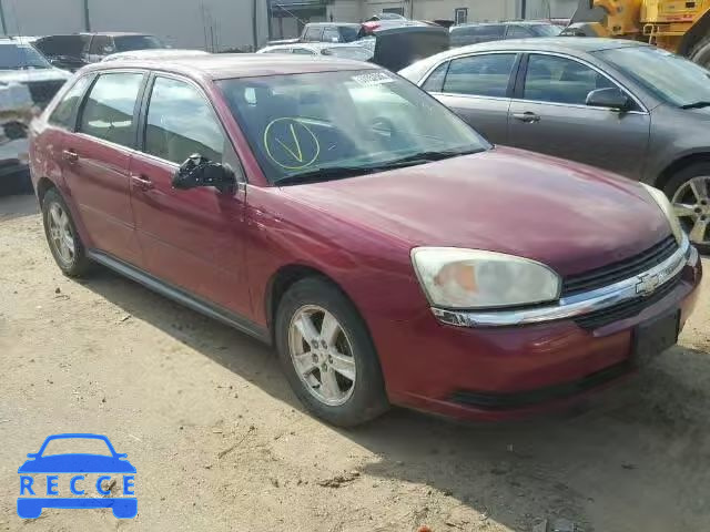 2005 CHEVROLET MALIBU MAX 1G1ZT62895F318510 зображення 0