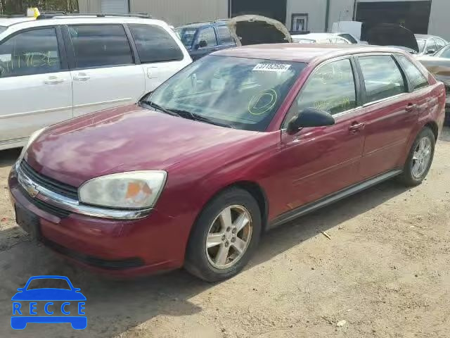 2005 CHEVROLET MALIBU MAX 1G1ZT62895F318510 зображення 1