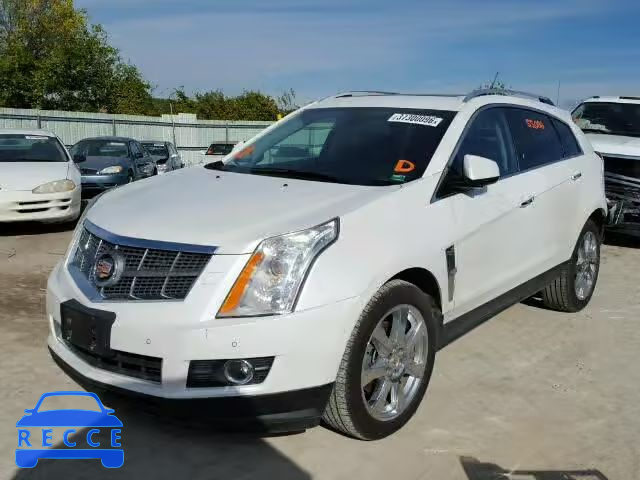 2010 CADILLAC SRX PREMIU 3GYFNFEY3AS606572 зображення 1