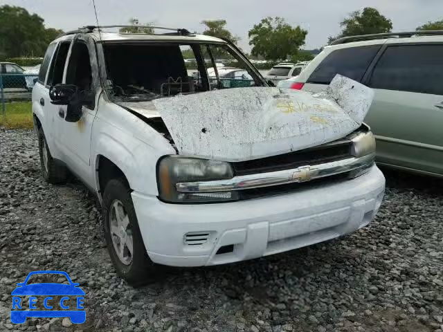 2006 CHEVROLET TRAILBLAZE 1GNDS13S962109592 image 0