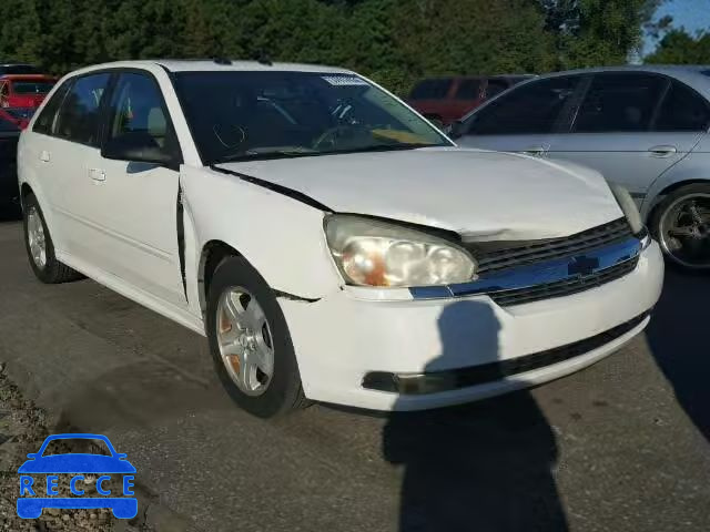 2004 CHEVROLET MALIBU MAX 1G1ZU64884F199597 image 0