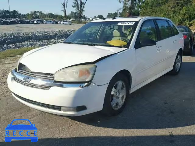 2004 CHEVROLET MALIBU MAX 1G1ZU64884F199597 image 1