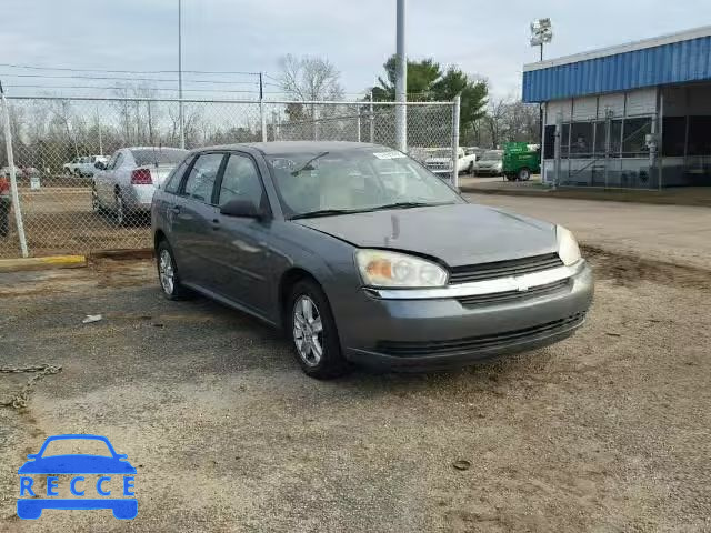 2005 CHEVROLET MALIBU MAX 1G1ZT62825F123963 image 0