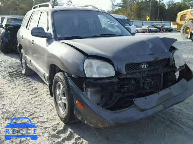 2004 HYUNDAI SANTA FE KM8SB13DX4U696884 Bild 0