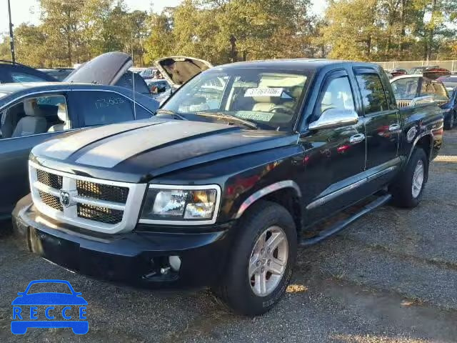 2011 DODGE DAKOTA SLT 1D7RE3GK0BS580896 Bild 1