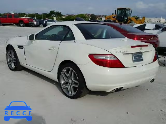 2013 MERCEDES-BENZ SLK250 WDDPK4HA2DF057693 image 2