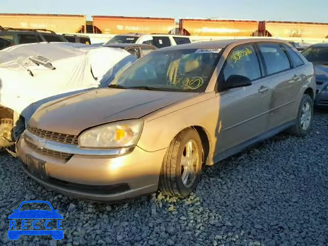 2004 CHEVROLET MALIBU MAX 1G1ZT64884F196315 зображення 1