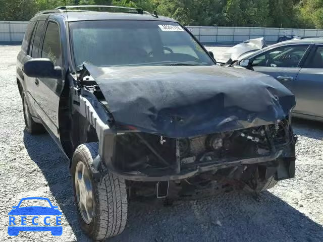 2009 CHEVROLET TRAILBLAZE 1GNDS33S192100384 image 0
