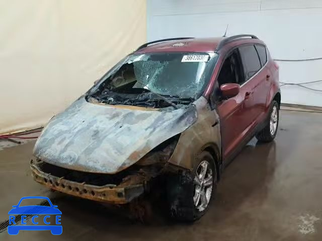 2014 FORD ESCAPE SE 1FMCU0GX4EUC05854 Bild 1