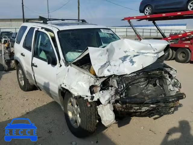 2007 FORD ESCAPE XLT 1FMCU93167KB07557 зображення 0