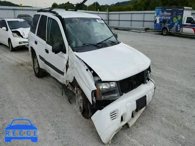 2005 CHEVROLET TRAILBLAZE 1GNDT13S252236146 image 0