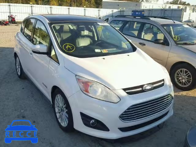 2013 FORD C-MAX SEL 1FADP5BU9DL506799 зображення 0