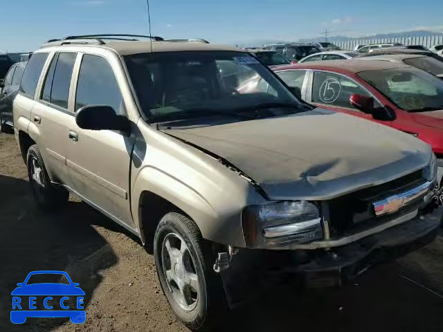 2006 CHEVROLET TRAILBLAZE 1GNDT13S362342977 image 0