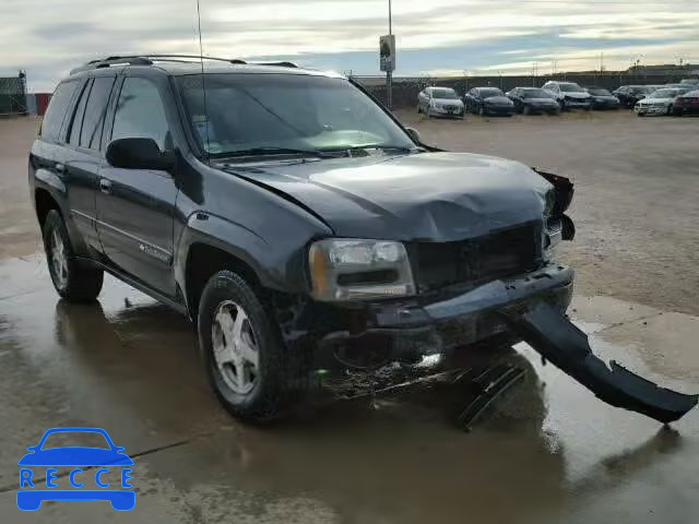 2003 CHEVROLET TRAILBLAZE 1GNDT13S332305147 Bild 0