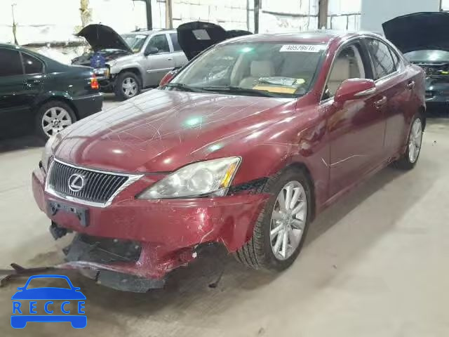 2009 LEXUS IS 250 JTHBK262295105452 image 1