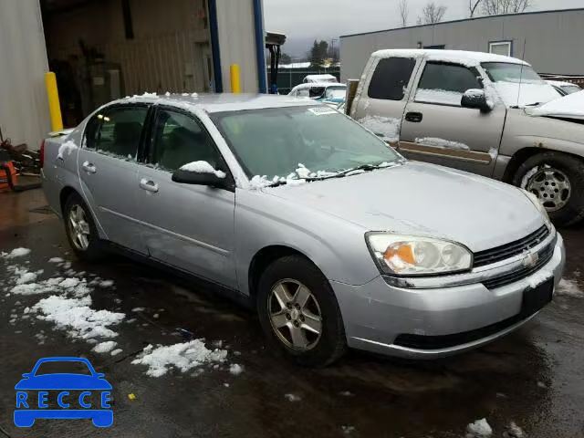 2005 CHEVROLET MALIBU LS 1G1ZT54845F162481 зображення 0