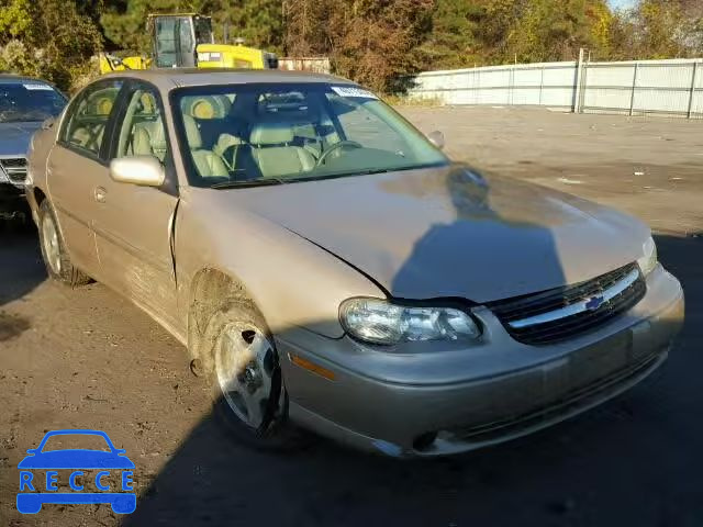 2002 CHEVROLET MALIBU LS 1G1NE52J82M633876 image 0