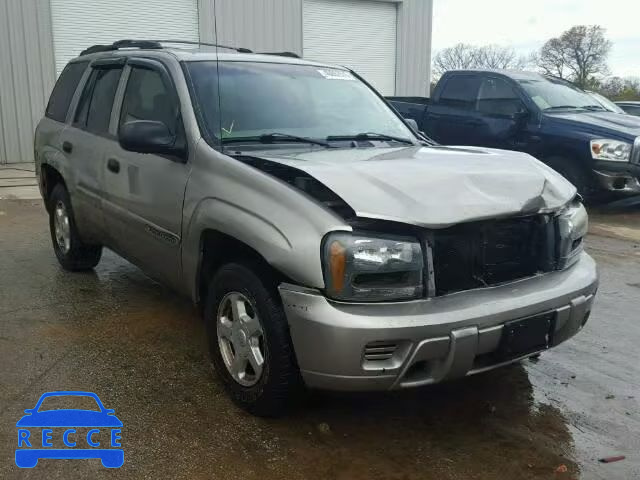 2002 CHEVROLET TRAILBLAZE 1GNDS13SX22270284 зображення 0