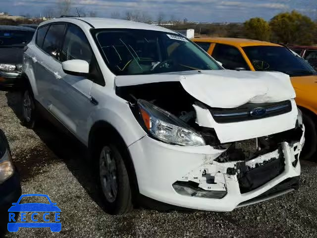 2014 FORD ESCAPE SE 1FMCU0GX7EUB09829 Bild 0