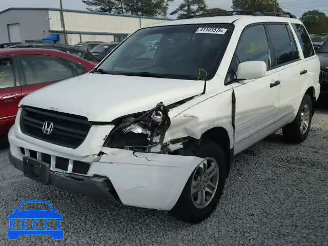 2004 HONDA PILOT EXL 5FNYF18684B010198 image 1