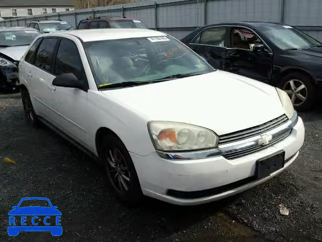 2004 CHEVROLET MALIBU MAX 1G1ZT64804F219215 image 0