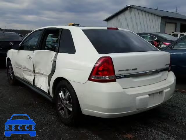 2004 CHEVROLET MALIBU MAX 1G1ZT64804F219215 image 2