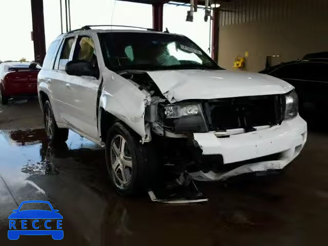 2008 CHEVROLET TRAILBLAZE 1GNDS13SX82216959 image 0