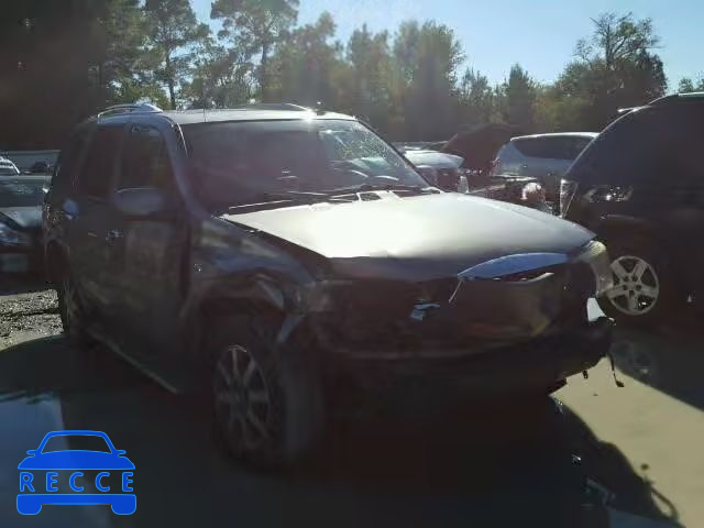 2006 BUICK RAINIER CX 5GADS13S462312674 зображення 0