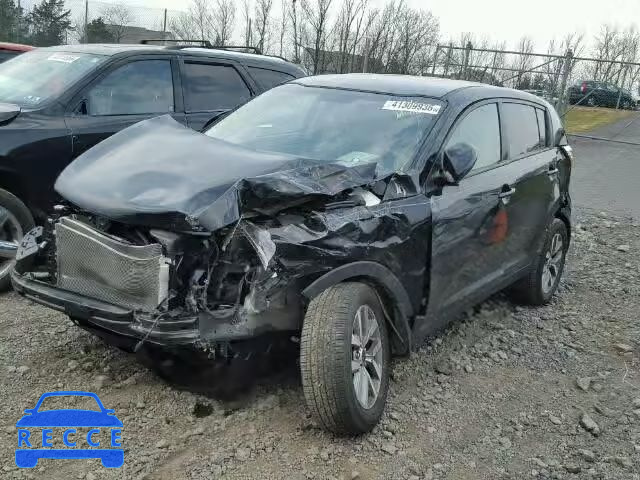 2016 KIA SPORTAGE L KNDPB3AC8G7847224 image 1