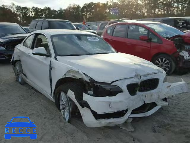 2014 BMW 228I WBA1F5C53EVV99118 image 0