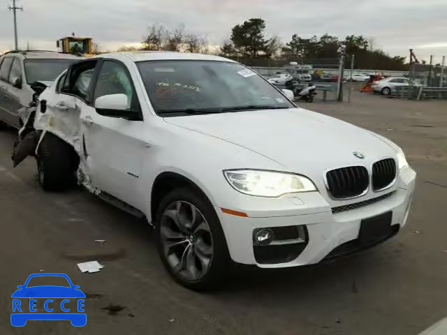 2013 BMW X6 XDRIVE3 5UXFG2C55DL785305 image 0