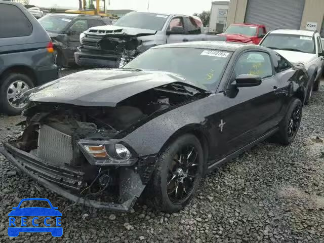 2012 FORD MUSTANG 1ZVBP8AM8C5231897 image 1