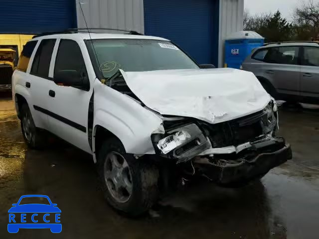 2008 CHEVROLET TRAILBLAZE 1GNDT13S782172996 image 0