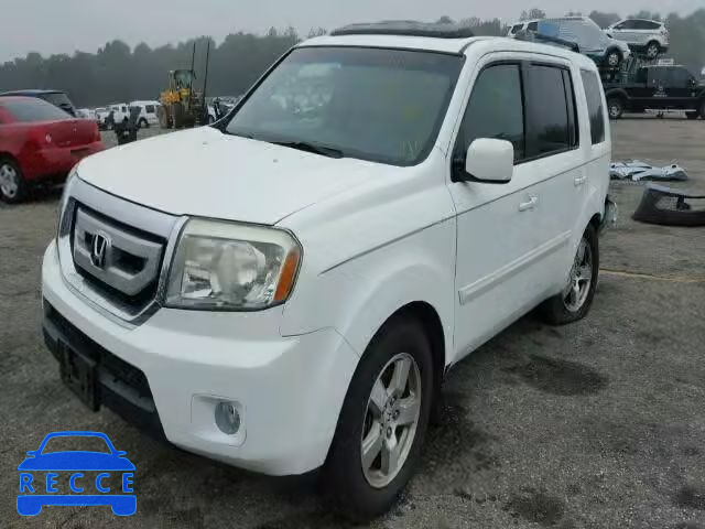 2009 HONDA PILOT EXL 5FNYF38509B022999 image 1
