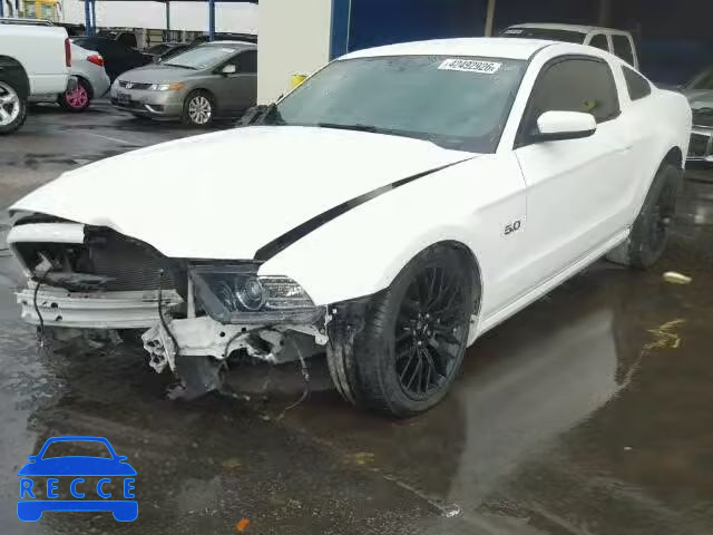 2013 FORD MUSTANG GT 1ZVBP8CF4D5271393 image 1