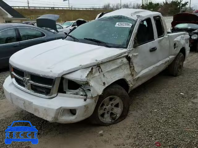 2008 DODGE DAKOTA SLT 1D3HW42K48S563311 image 1