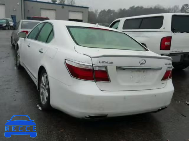 2009 LEXUS LS460 AWD JTHCL46F395003559 зображення 2