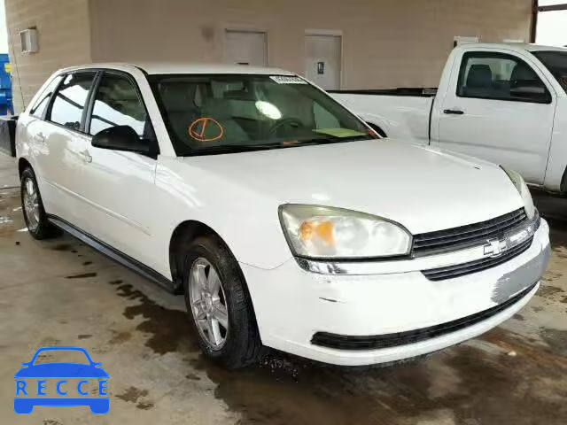 2005 CHEVROLET MALIBU MAX 1G1ZT62865F179582 зображення 0