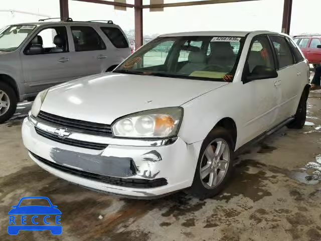 2005 CHEVROLET MALIBU MAX 1G1ZT62865F179582 зображення 1