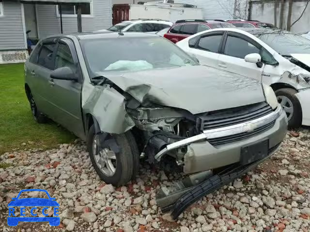 2005 CHEVROLET MALIBU MAX 1G1ZT64805F160538 Bild 0