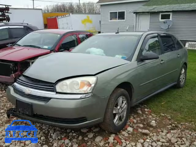 2005 CHEVROLET MALIBU MAX 1G1ZT64805F160538 image 1