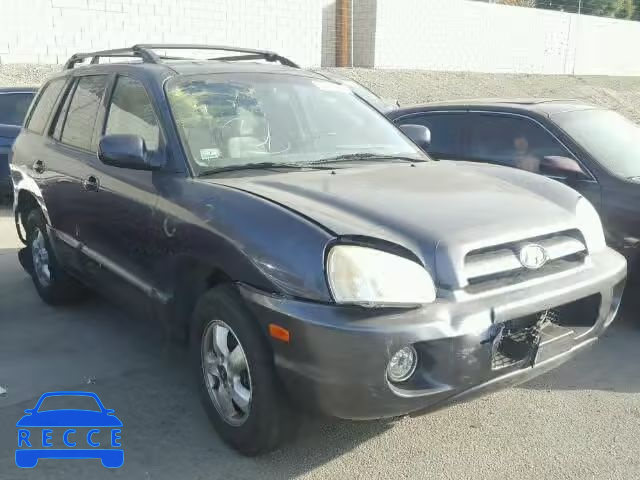 2005 HYUNDAI SANTA FE G KM8SC13E15U865617 зображення 0