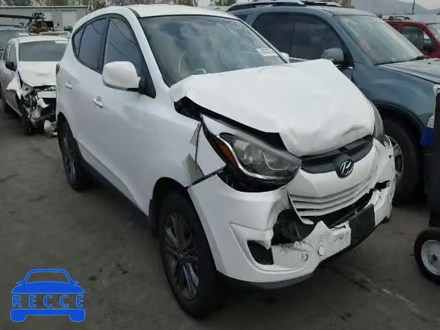 2014 HYUNDAI TUCSON GL KM8JT3AF1EU817084 зображення 0