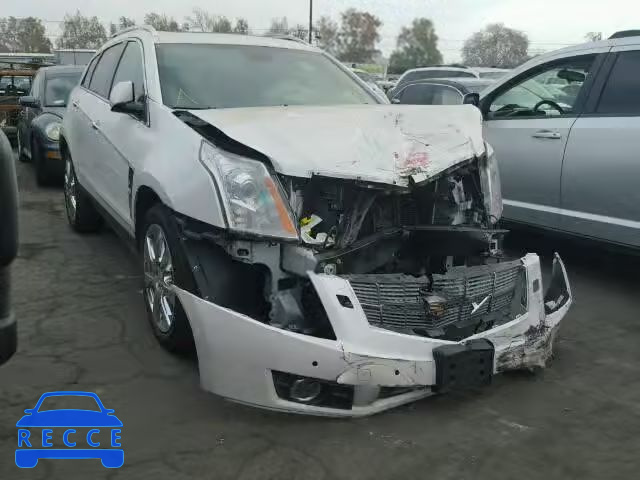 2010 CADILLAC SRX PERFOR 3GYFNBEY0AS635097 image 0