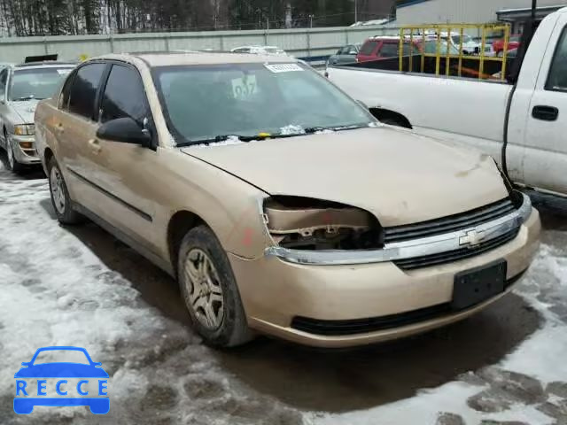 2005 CHEVROLET MALIBU 1G1ZS52F15F291055 image 0