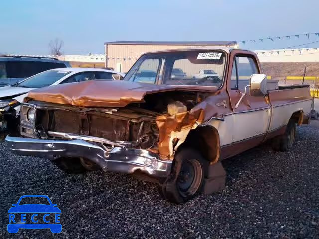 1979 CHEVROLET C-10 CCU149F303905 image 1