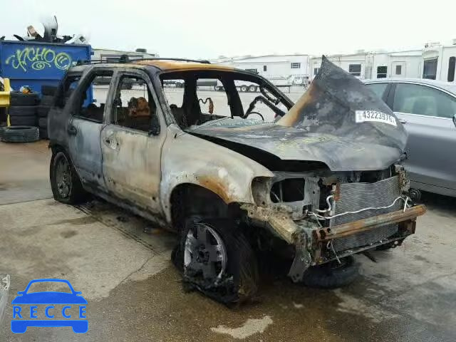 2007 FORD ESCAPE XLT 1FMYU03117KB95645 Bild 0